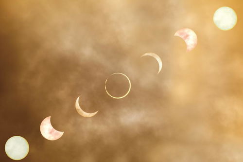 今年三伏天10年难遇 有啥讲究 今年三伏天10年难遇 有啥讲究