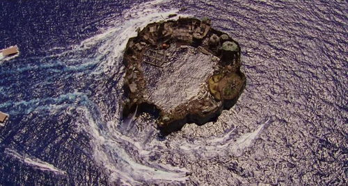 北京人要进化出鳃了