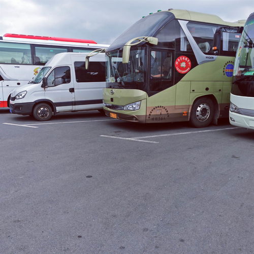 涡阳到丰县多少汽车 涡阳到丰县多少汽车