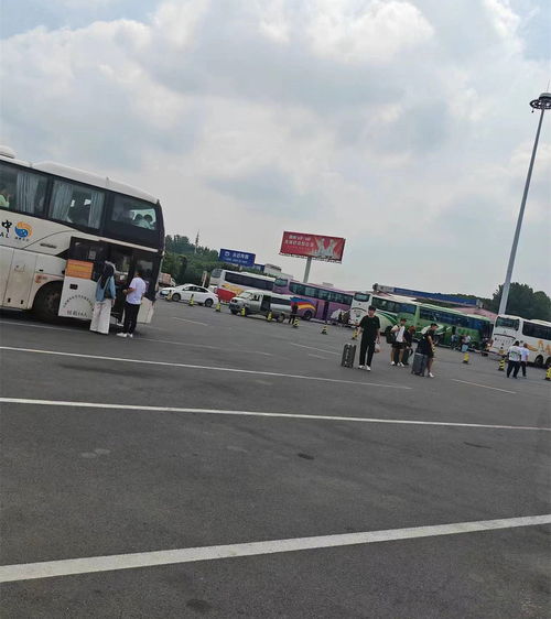 涡阳到丰县多少汽车 涡阳到丰县多少汽车