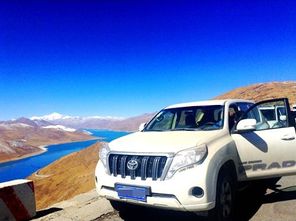 牧羊汽车多少钱 牧羊汽车多少钱