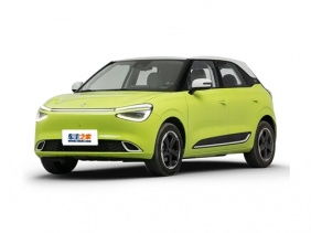 海豚汽车会定价多少 海豚汽车会定价多少