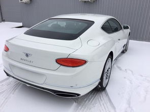 汽车轿子多少钱 汽车轿子多少钱