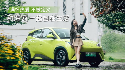 海鸥汽车功率是多少 海鸥汽车功率是多少