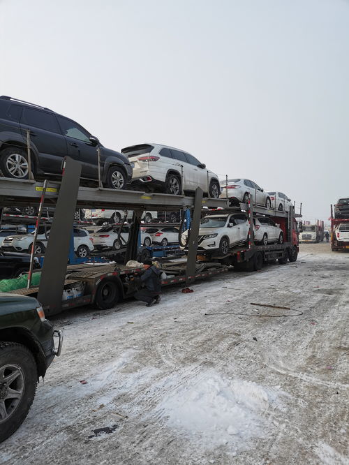 汽车托运新疆多少天 汽车托运新疆多少天