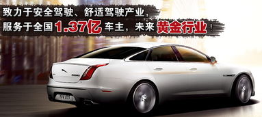 汽车荷叶多少钱 汽车荷叶多少钱