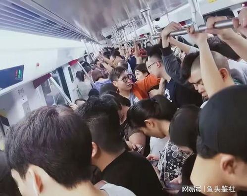 上海地铁回应便衣当场抓捕猥亵男子 上海地铁回应便衣当场抓捕猥亵男子