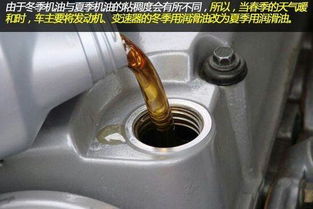 汽车储油杯容积多少 汽车储油杯容积多少