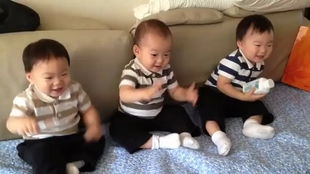 三胞胎一人抱一个大冬瓜睡觉 三胞胎一人抱一个大冬瓜睡觉