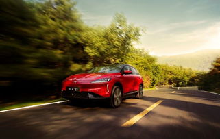 华山王汽车容量多少 华山王汽车容量多少