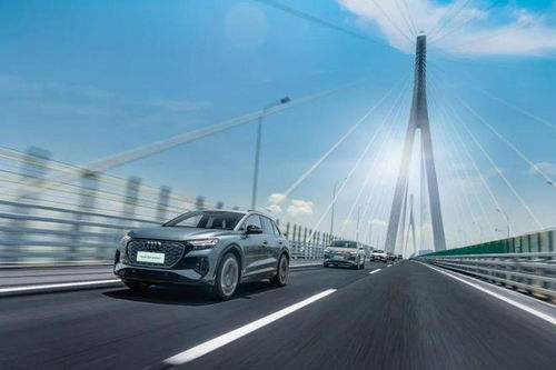 华山王汽车容量多少 华山王汽车容量多少