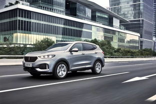 华山王汽车容量多少 华山王汽车容量多少