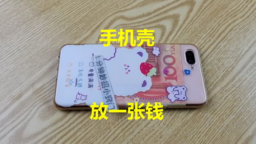 几块钱的手机壳可能有毒或致肾衰竭 几块钱的手机壳可能有毒或致肾衰竭