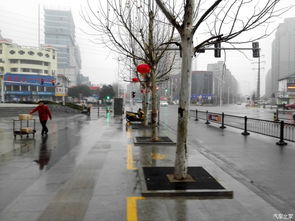 灵璧汽车到徐州多少 灵璧汽车到徐州多少