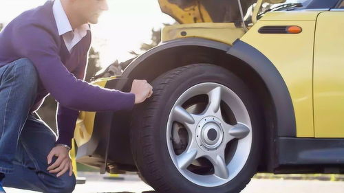 汽车最多有多少轮 汽车最多有多少轮