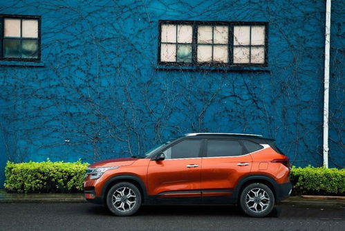 汽车拉油费用多少 汽车拉油费用多少