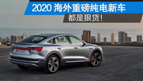 南平汽车镀金报价多少