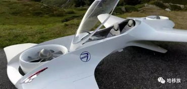 飞行汽车叶轮售价多少
