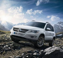 大众名下有多少汽车 大众名下有多少汽车