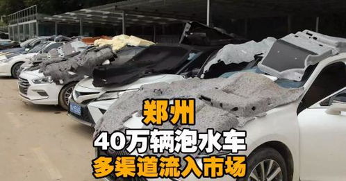 河南有多少汽车泡水 河南有多少汽车泡水