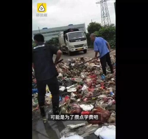 环卫工翻垃圾找手表为何暖心变闹心 环卫工翻垃圾找手表为何暖心变闹心