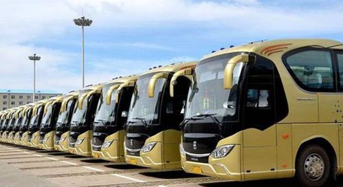 布尔津多少辆汽车 布尔津多少辆汽车