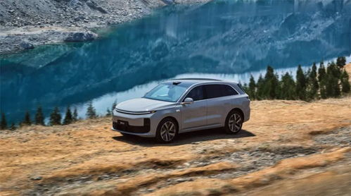 理想汽车补胎价格多少 理想汽车补胎价格多少