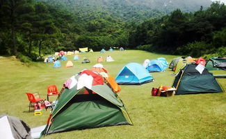 汽车露营大概花费多少 汽车露营大概花费多少