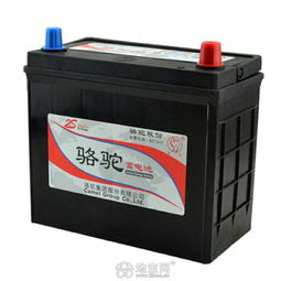 汽车电瓶分多少种类 汽车电瓶分多少种类