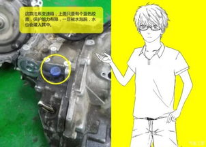 汽车多少水密封不住 汽车多少水密封不住