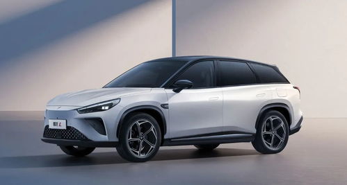 哪吒汽车喇叭多少寸 哪吒汽车喇叭多少寸