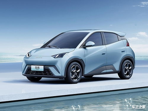 海鸥汽车功率多少瓦 海鸥汽车功率多少瓦