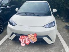 海鸥汽车功率多少瓦 海鸥汽车功率多少瓦