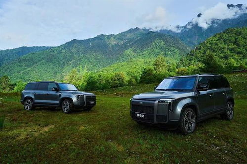 极石汽车卖了多少