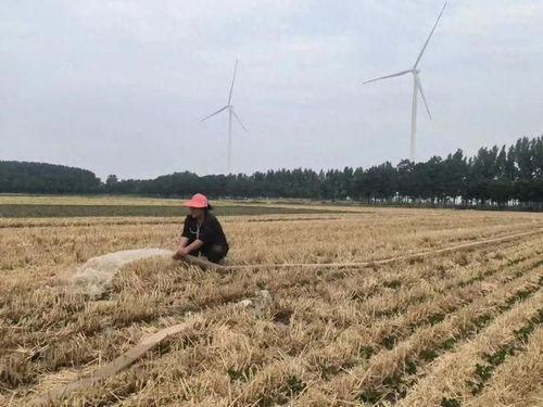 人工增雨 河南5地发布公告 人工增雨 河南5地发布公告