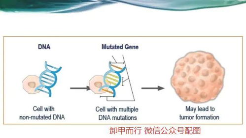 专家:硫脲可损伤甲状腺及多个器官 专家:硫脲可损伤甲状腺及多个器官