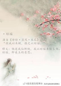 出自诗经的大气女孩名字（洛神赋取名女孩名字）
