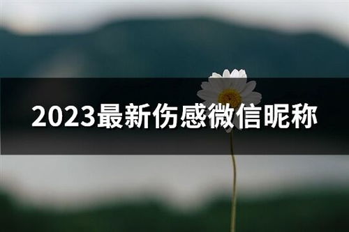 伤感网名的昵称（伤感网名的昵称大全）