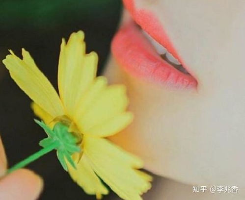 干净好听的群名（雅而不俗的群名）