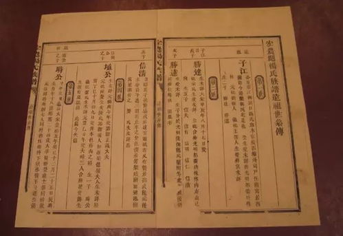 杨氏家谱字辈大全（河北廊坊杨氏家谱字辈大全）