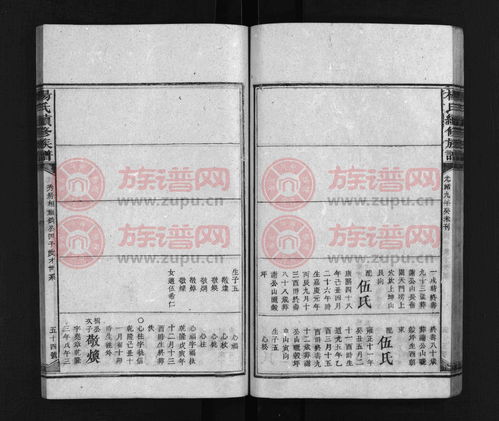 杨氏家谱字辈大全（河北廊坊杨氏家谱字辈大全）