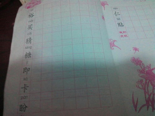 孕组词（孕组词组）
