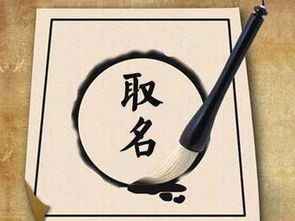 佛系禅意取名名字大全（佛系禅意的名字）