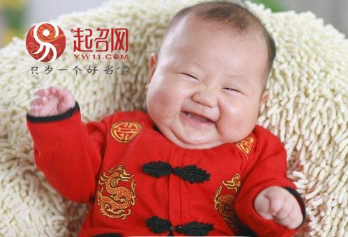 猪宝宝起名（猪宝宝起名字大全男孩）