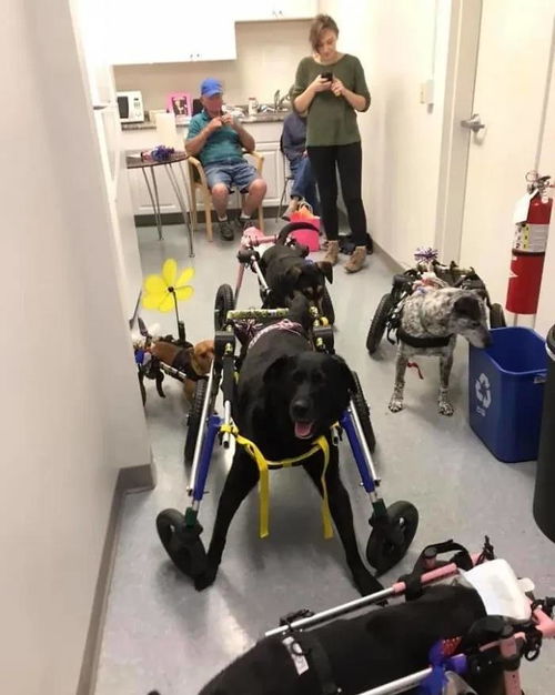 独一无二的小队名字(独一无二的小队名字女生) 独一无二的小队名字(独一无二的小队名字女生)