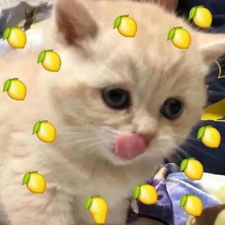 给女朋友起个专属小名（给女朋友起个专属小名带动物）