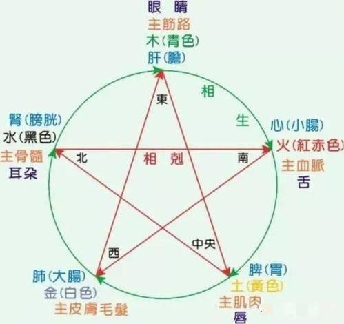 命相五行查询表(命相五行查询表规律) 命相五行查询表(命相五行查询表规律)