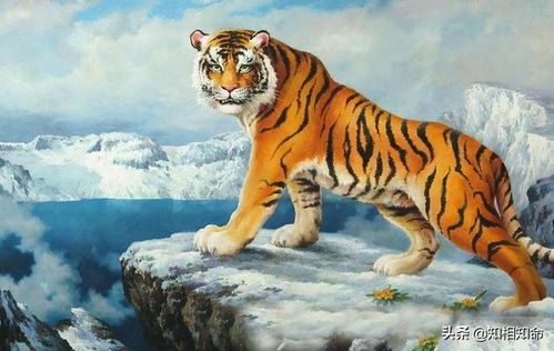 虎年宝宝起名宜与忌(虎年宝宝起名宜与忌日) 虎年宝宝起名宜与忌(虎年宝宝起名宜与忌日)