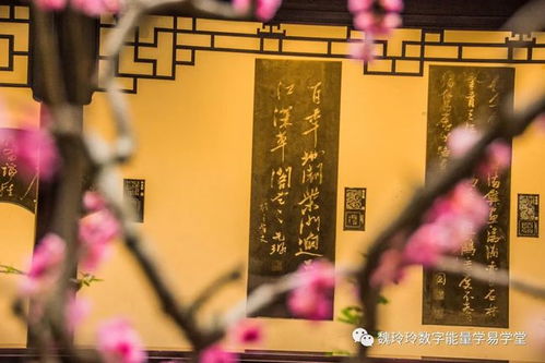 大吉手机号码(大吉手机号码大全查询) 大吉手机号码(大吉手机号码大全查询)