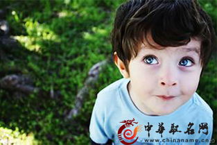 姓赵的男孩名字(姓赵的男孩名字寓意) 姓赵的男孩名字(姓赵的男孩名字寓意)